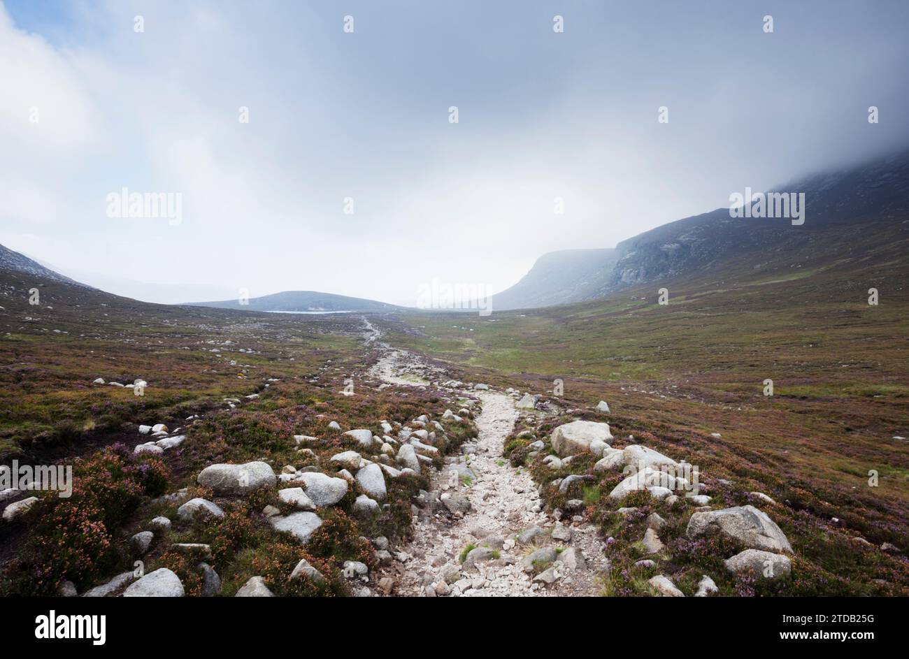 Chemin vers Blue Lough dans les montagnes de Mourne. County Down, Irlande du Nord, Royaume-Uni. Banque D'Images