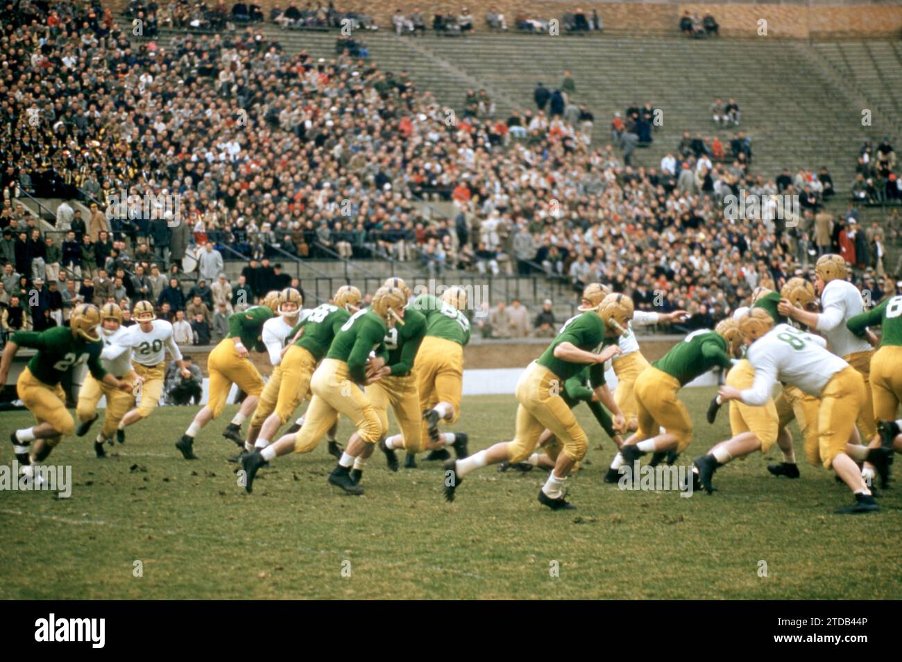 SOUTH BEND, IN - AVRIL 16 : l'équipe universitaire de notre Dame (vert) court le ballon contre l'équipe des anciens de notre Dame (blanc) lors d'un match des anciens le 16 avril 1957 au stade notre Dame de South Bend, Indiana. (Photo de Hy Peskin) Banque D'Images