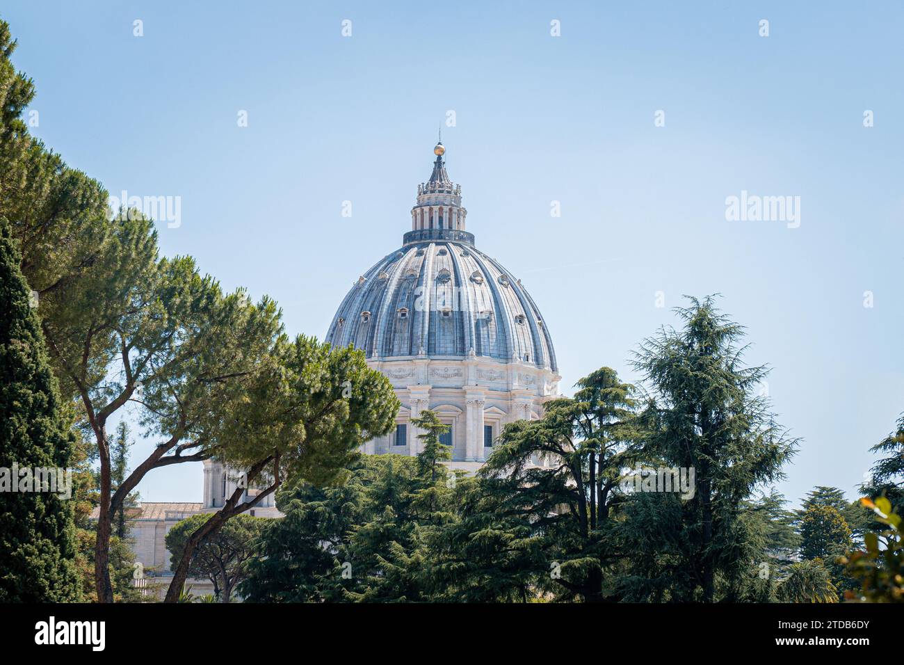 Vue du dôme de la basilique Saint-Pierre vu dans la distance entre les arbres à Rome, Italie. Banque D'Images