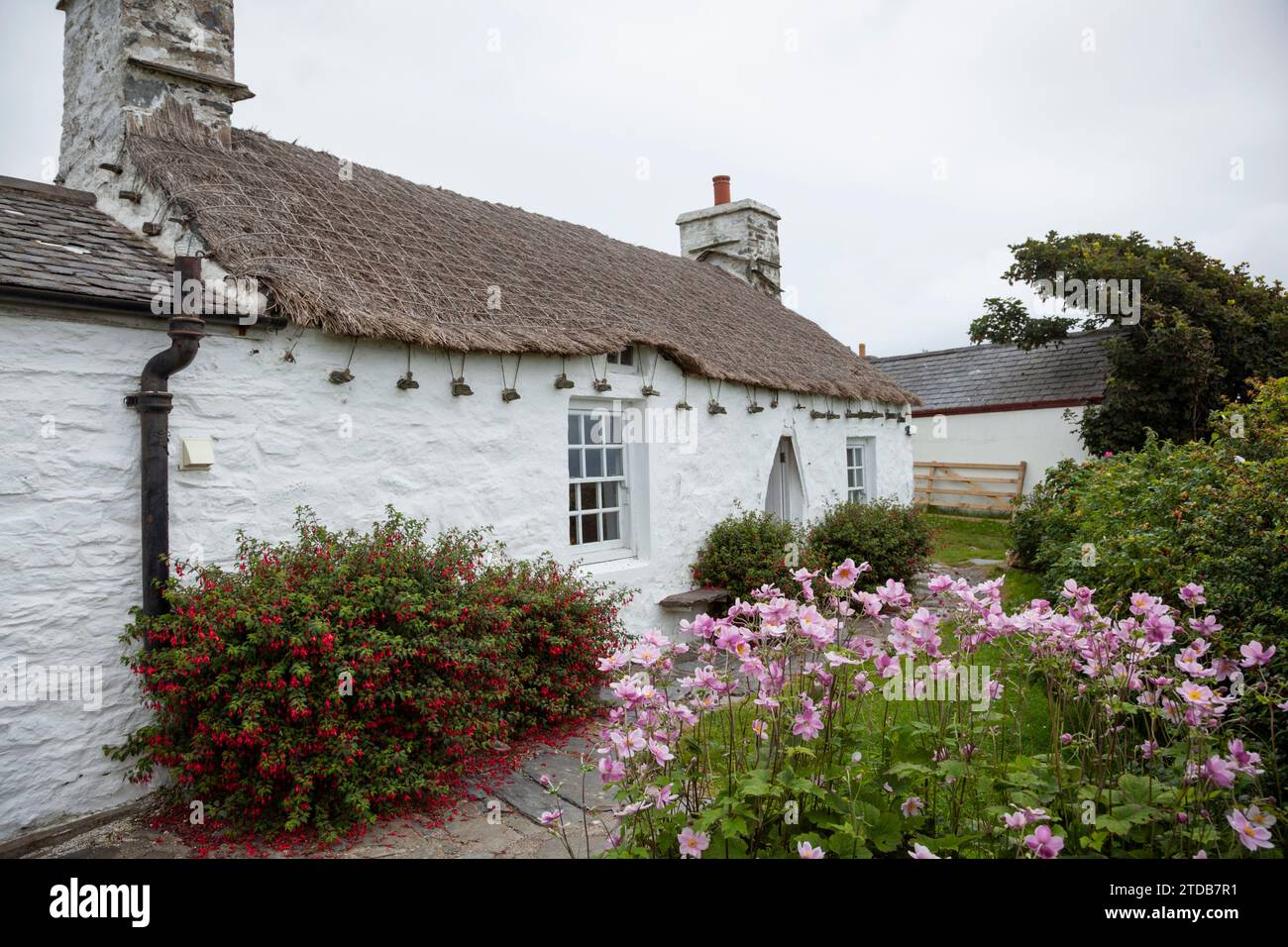 Cottage traditionnel et jardin. Cregneash, Île de Man, Royaume-Uni. Banque D'Images