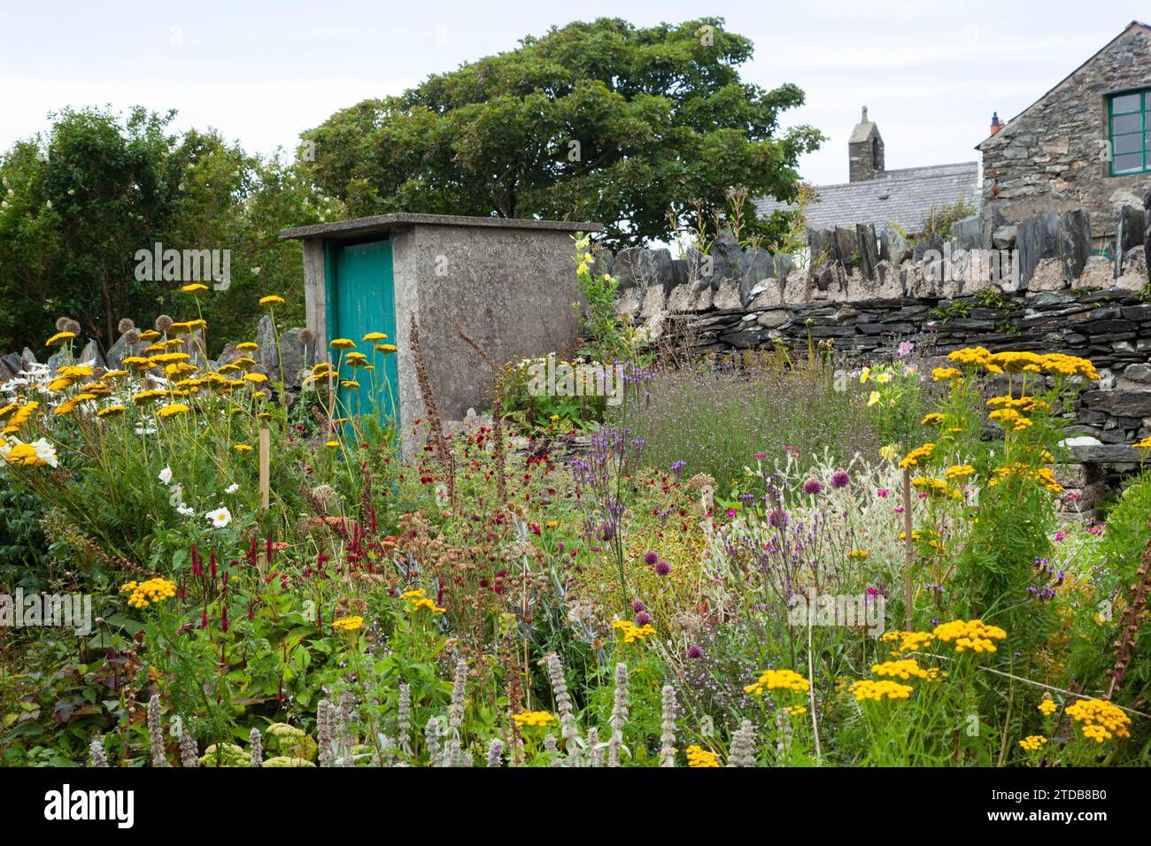 Cottage Garden. Cregneash, Île de Man, Royaume-Uni. Banque D'Images