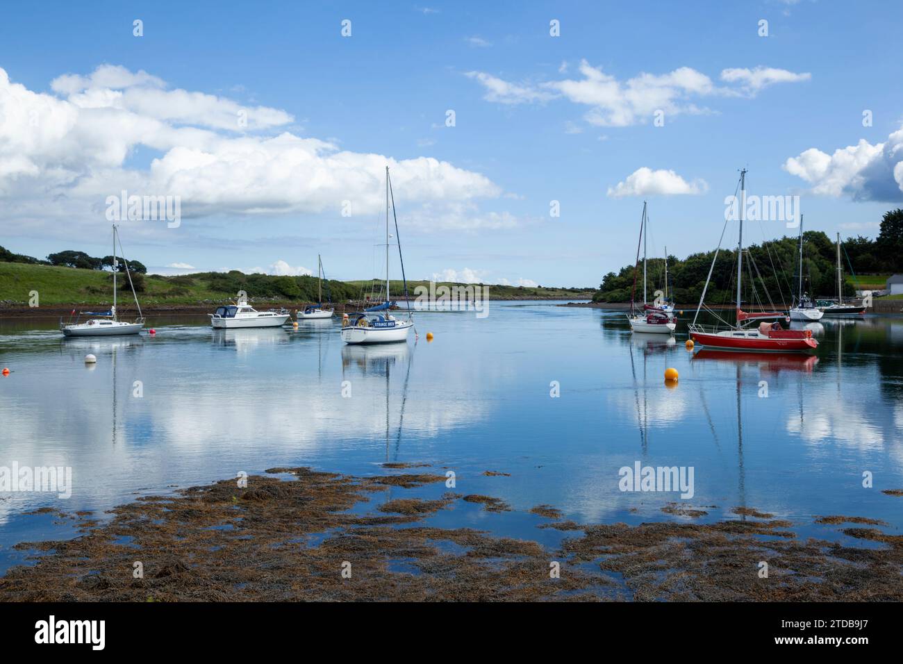 Strangford Loch près de Whiterock. County Down, Irlande du Nord, Royaume-Uni. Banque D'Images