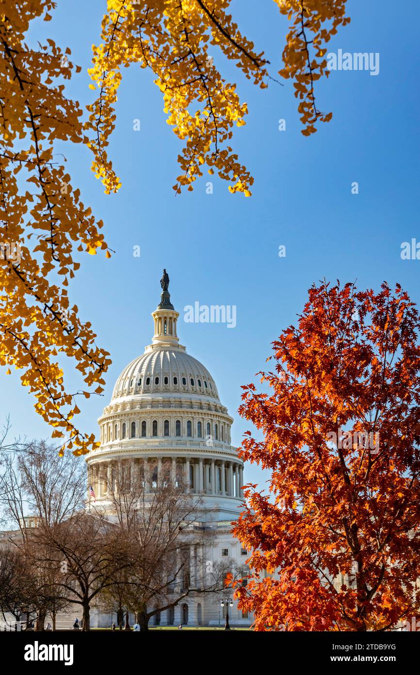 Washington, DC - le bâtiment du Capitole des États-Unis, entouré de couleurs automnales. Banque D'Images