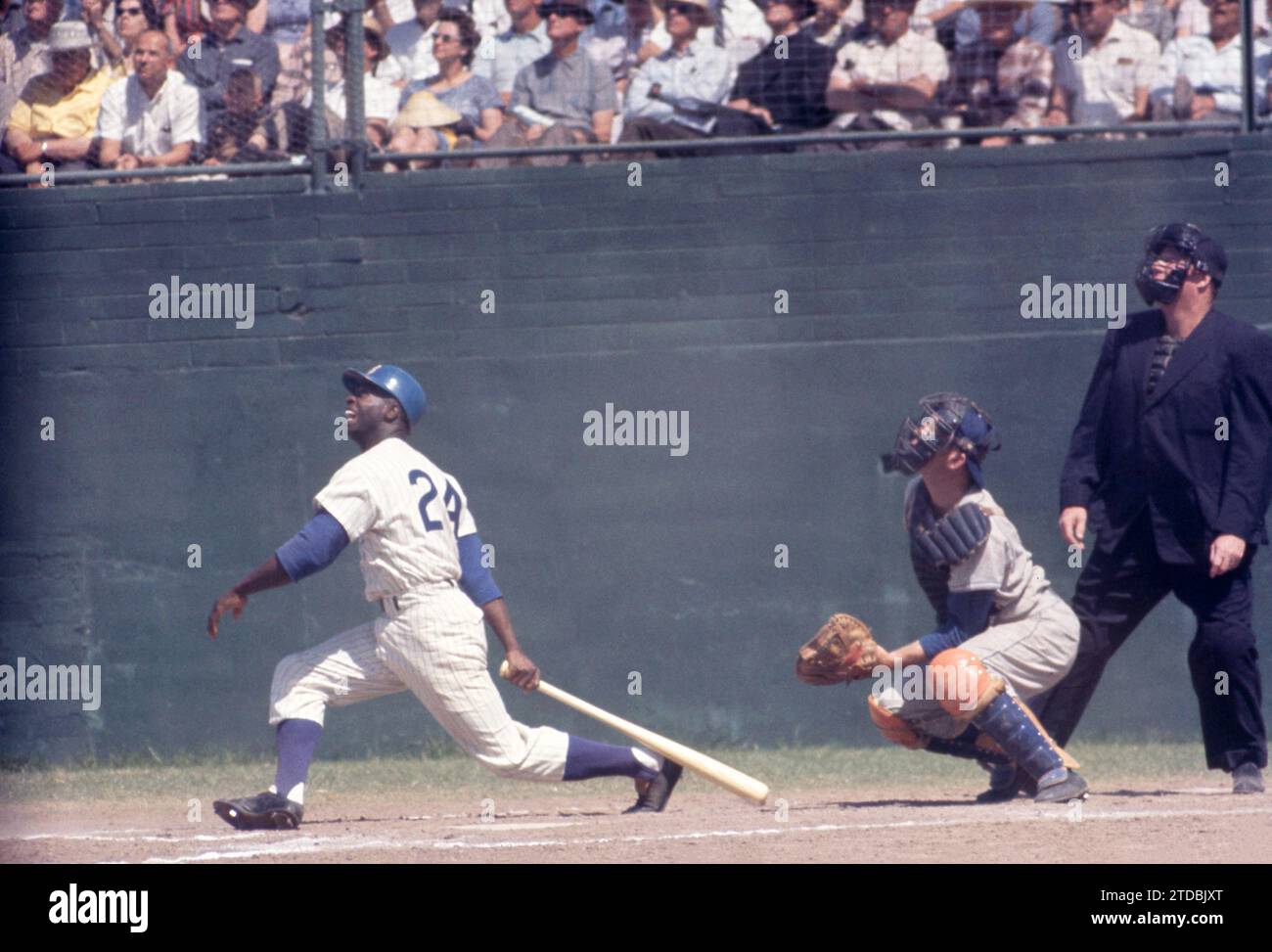 MESA, AZ - AVRIL 1962 : Lou Brock #24 des Cubs de Chicago saute sur un terrain lors d'un match d'entraînement de pré-saison MLB contre les Dodgers de Los Angeles vers avril 1962 à Mesa, Arizona. (Photo de Hy Peskin) *** Légende locale *** Lou Brock Banque D'Images