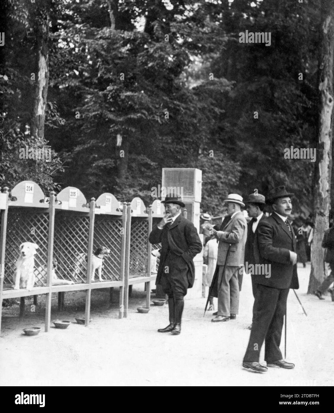 05/07/1919. Madrid. Dans le parc du Retiro. Le VIIIe International Championship Dog Show, inauguré hier après-midi. Crédit : Album / Archivo ABC / Julio Duque Banque D'Images