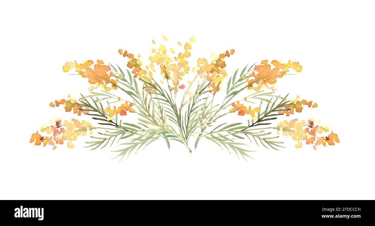 Composition d'aquarelle florale avec mimosas jaunes et verdure. Illustration dessinée à la main du modèle botanique pour les cartes de voeux ou mariage Banque D'Images Composition d'aquarelle florale avec mimosas jaunes et verdure. Illustration dessinée à la main du modèle botanique pour les cartes de voeux ou mariage Banque D'Images