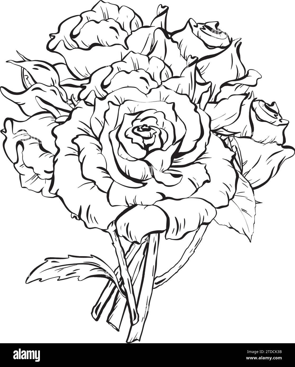 Encre : bouquet de Roses. Un arrangement luxuriant et parfumé pour les mariages et les anniversaires. Bourgeons délicats et roses fleuries complétés par des épines sur les tiges et Illustration de Vecteur Encre : bouquet de Roses. Un arrangement luxuriant et parfumé pour les mariages et les anniversaires. Bourgeons délicats et roses fleuries complétés par des épines sur les tiges et Illustration de Vecteur