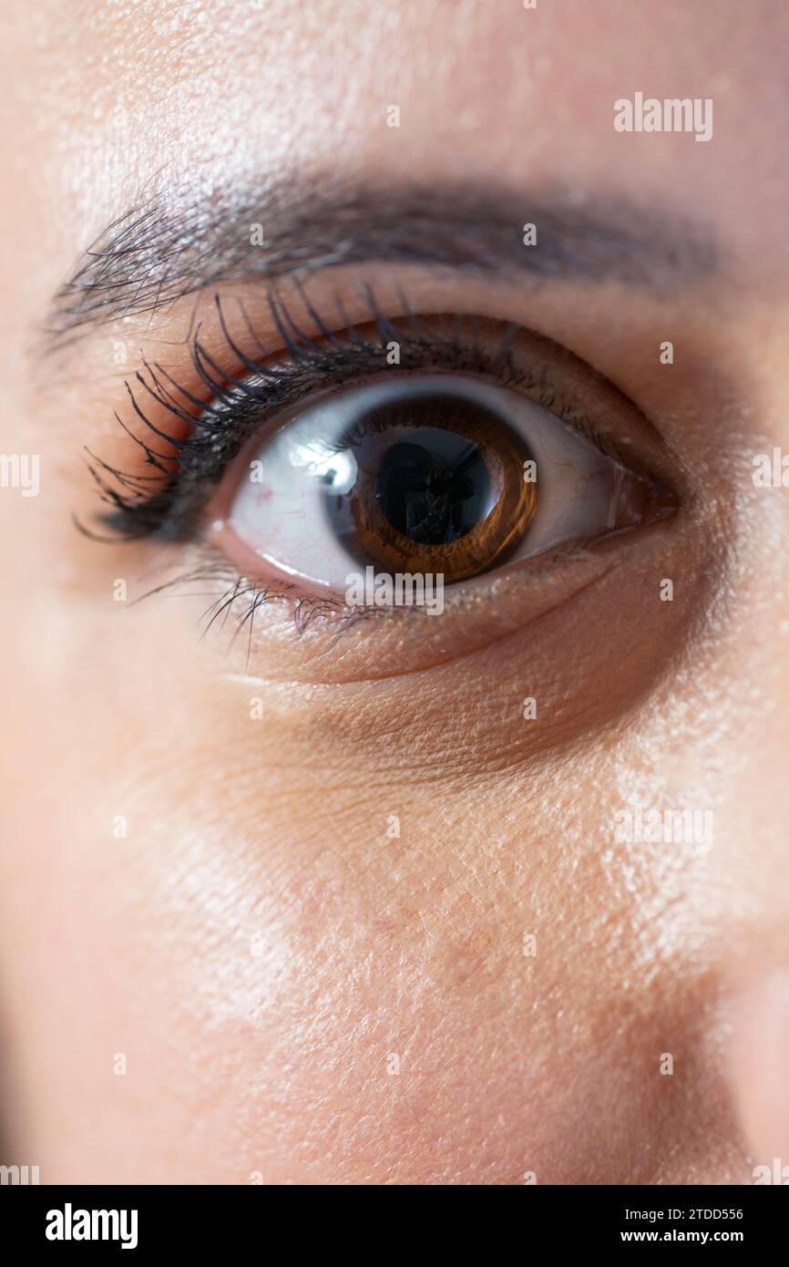 Yeux de la femme Banque D'Images