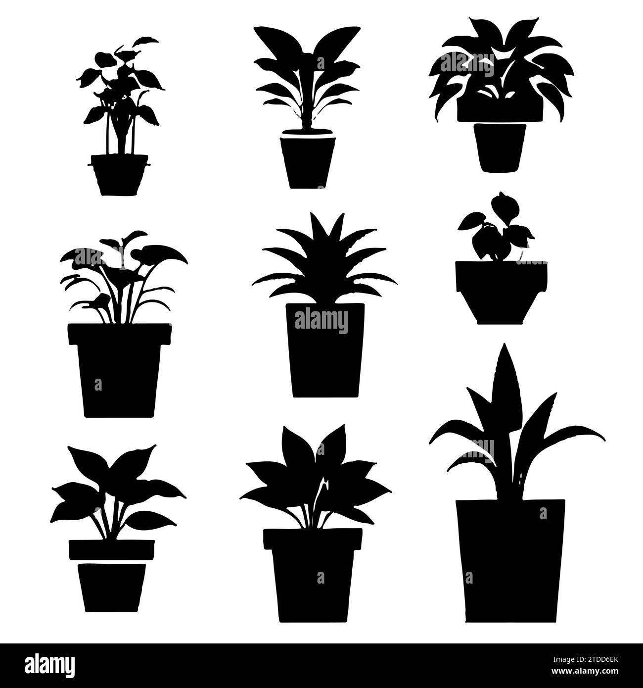 Plantes d'intérieur. Vector Set silhouettes plantes d'intérieur, succulentes en pot. Fleurs exotiques d'intérieur avec tiges et feuilles. Monstera, ficus, pothos, yucca, dracaena, cactus, plante de serpent pour la maison et l'intérieur Illustration de Vecteur