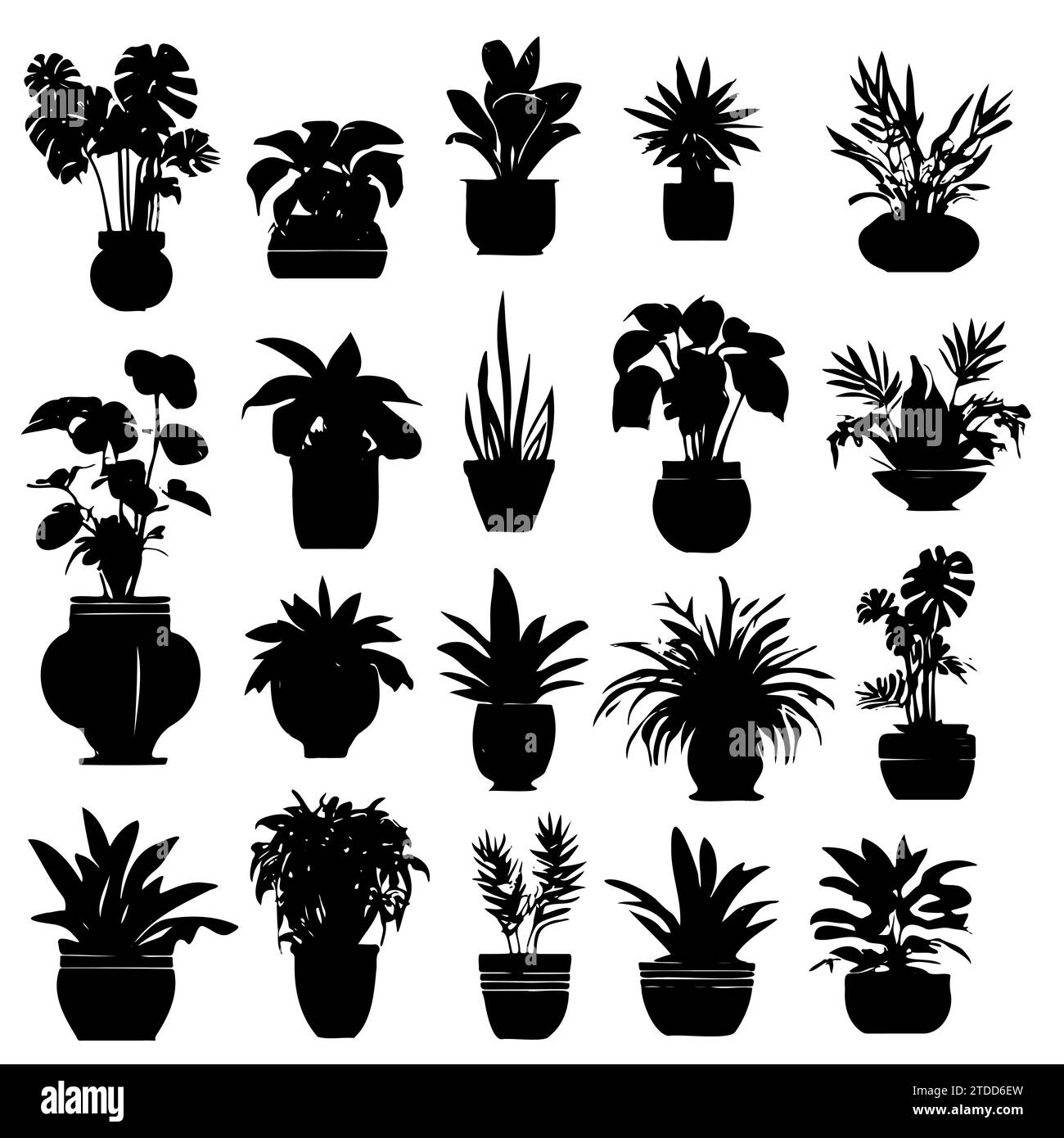 Plantes d'intérieur. Vector Set silhouettes plantes d'intérieur, succulentes en pot. Fleurs exotiques d'intérieur avec tiges et feuilles. Monstera, ficus, pothos, yucca, dracaena, cactus, plante de serpent pour la maison et l'intérieur Illustration de Vecteur