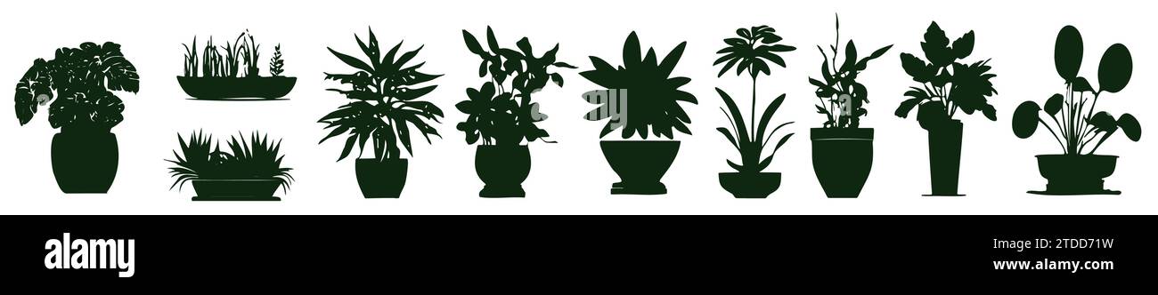 Définissez différentes silhouettes de plantes d'intérieur en pot. Fleurs ou plantes d'intérieur dans la collection d'illustrations vectorielles plates de pots de fleurs Illustration de Vecteur