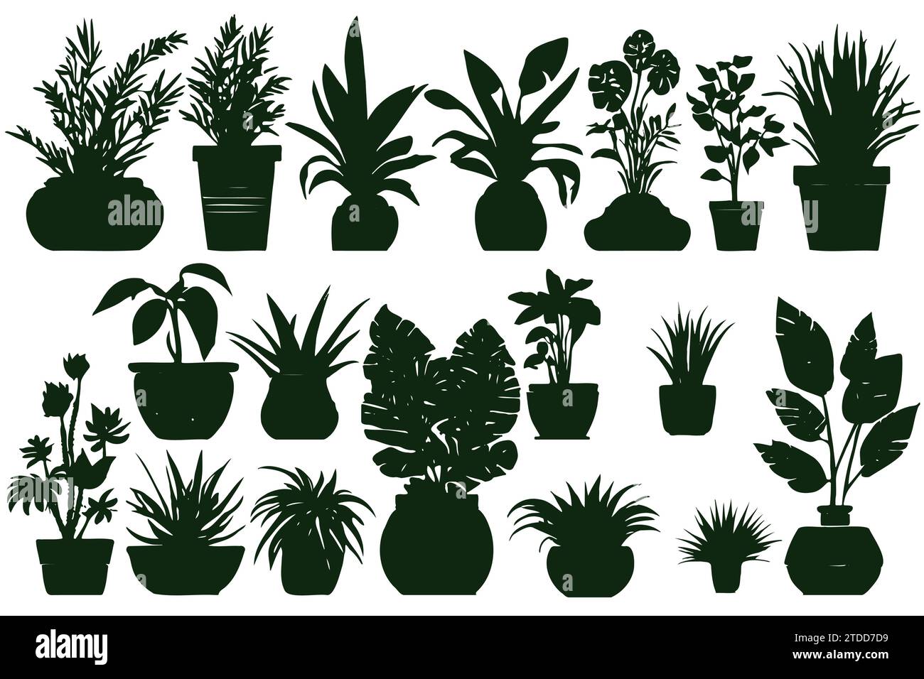 Collection silhouettes plantes d'intérieur. Plantes en pot isolées sur blanc. Ensemble de plantes tropicales vertes. Décoration tendance avec plantes d'intérieur, jardinières Illustration de Vecteur