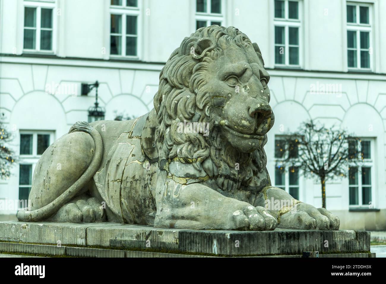Lion de pierre devant le Palais présidentiel - Varsovie, Pologne. Banque D'Images