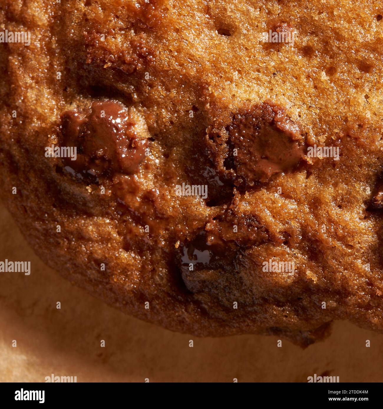 Macro Tates cookie aux pépites de chocolat Banque D'Images