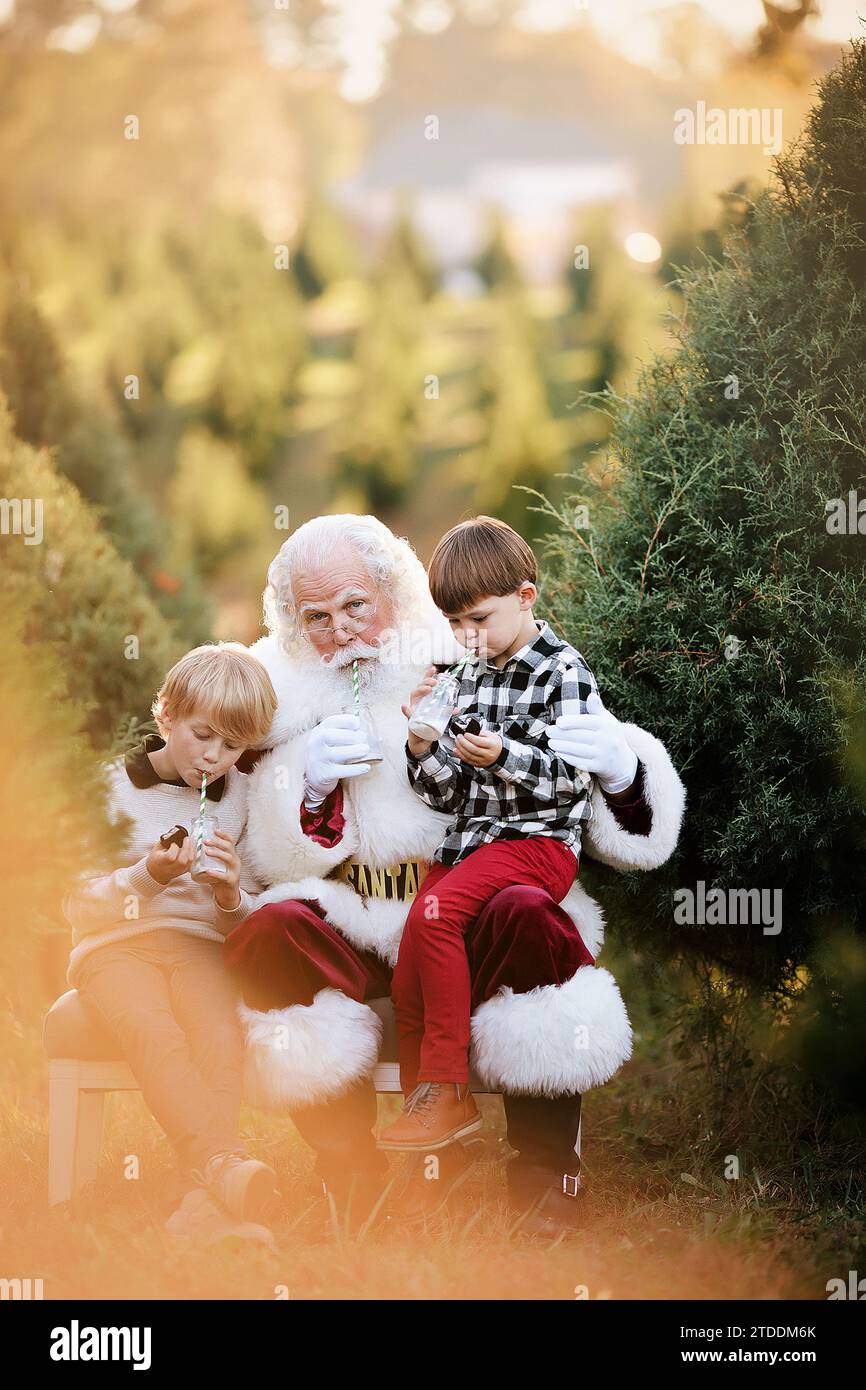 Deux petits garçons assis sur les genoux du Père Noël buvant du lait à partir de pailles Banque D'Images