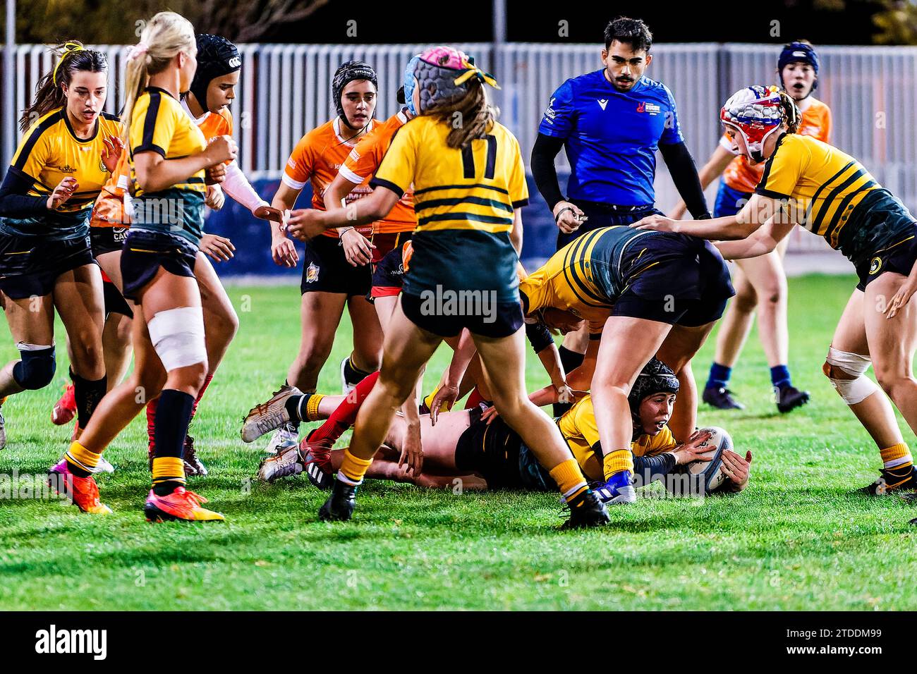 Des femmes qui se battent pour le ballon de rugby Banque D'Images