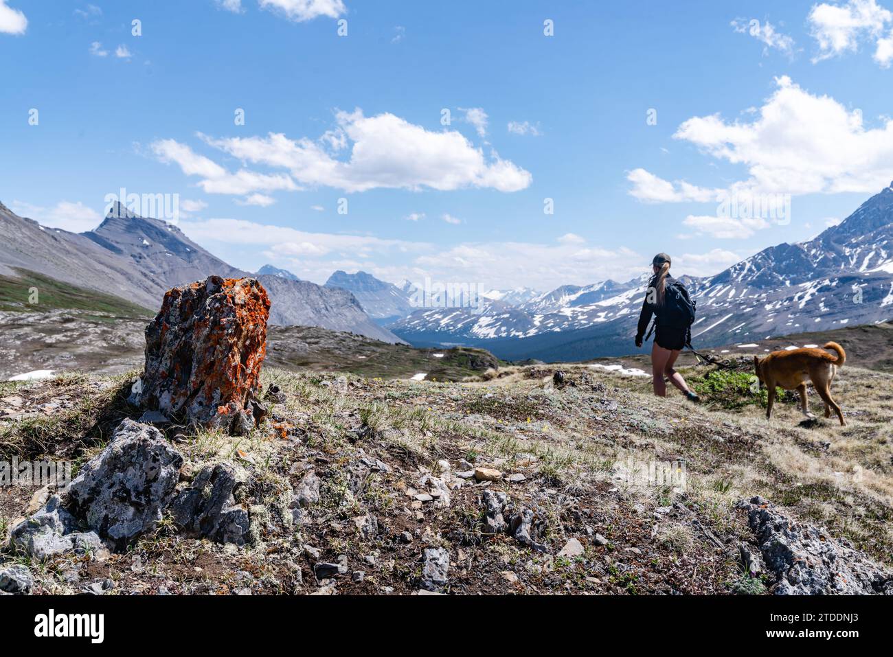 Promenade en chien à couper le souffle dans les paysages des Rocheuses canadiennes Banque D'Images