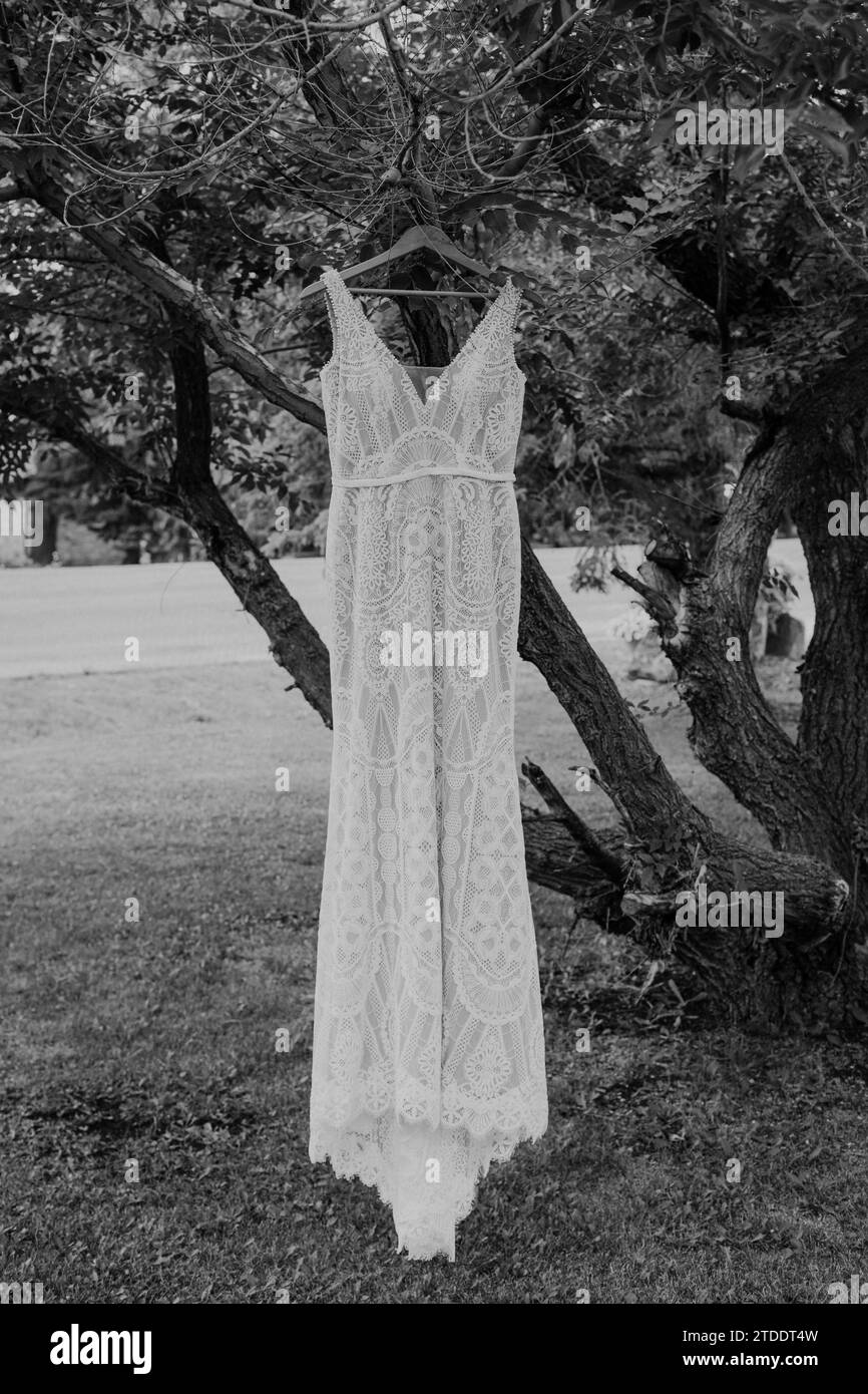 Robe de mariée en dentelle Boho accrochée à l'arbre Banque D'Images