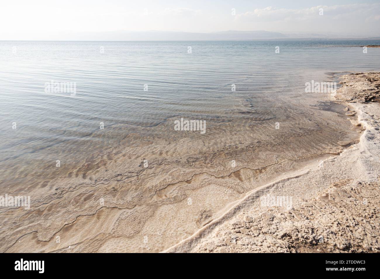 Formations salines trouvées sur la plage de la mer Morte, Jordanie Banque D'Images