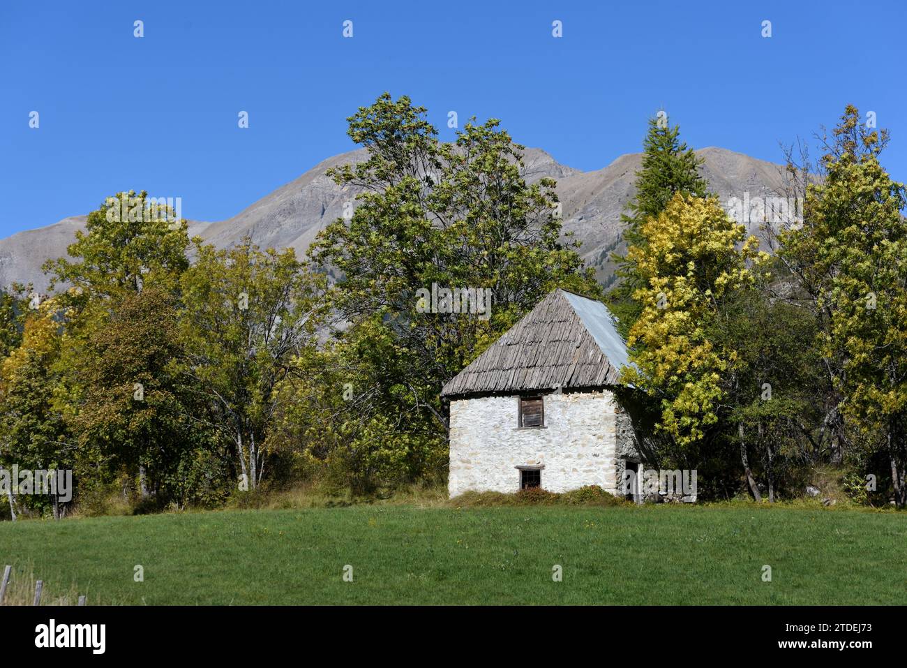 Ancien bâtiment de ferme avec toit de bardeaux en bois, grange ou Cabanon Allos France Banque D'Images