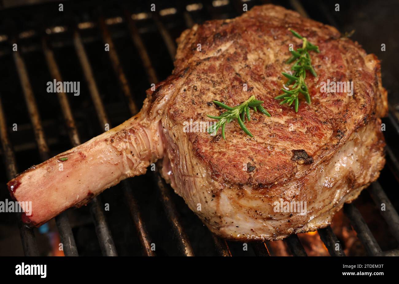 Cuisson d'un steak côtelé sur un grill, un grill ou un barbecue. Un grand œil côtelé avec un grésillement non désossé d'un barbecue avec une flamme ou une éruption. Concept de viande de bœuf Banque D'Images