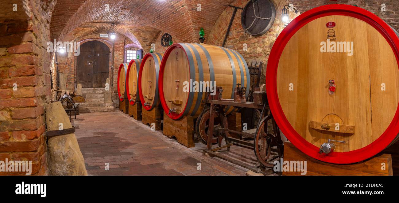 Vue des tonneaux de vin dans la cave à Cantina Ercolani, magasin de vin et musée à Montepulciano, Montepulciano, province de Sienne, Toscane, Italie, Europe Banque D'Images