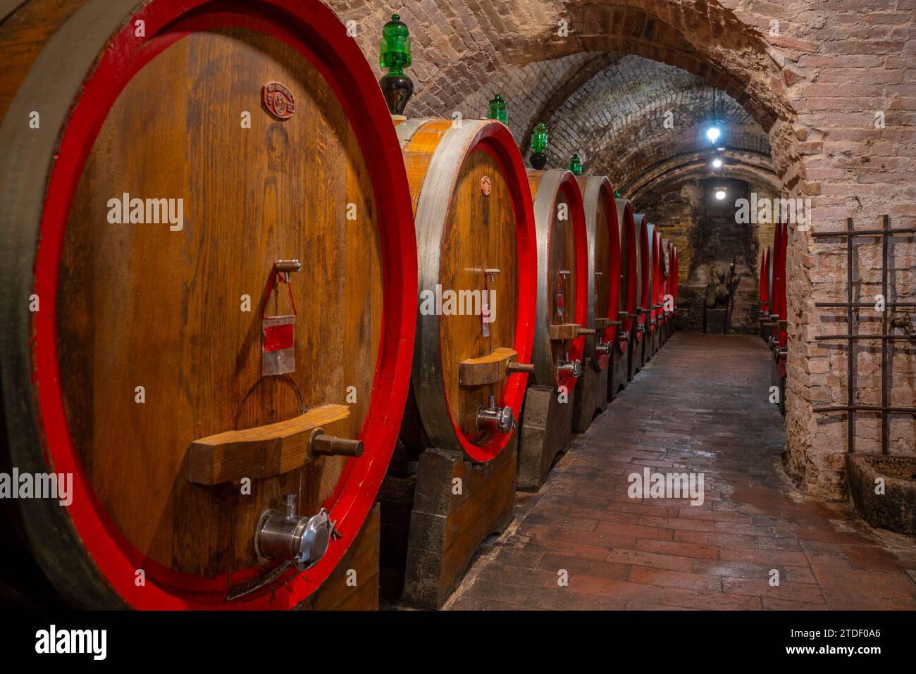 Vue des tonneaux de vin dans la cave à Cantina Ercolani, magasin de vin et musée à Montepulciano, Montepulciano, province de Sienne, Toscane, Italie, Europe Banque D'Images