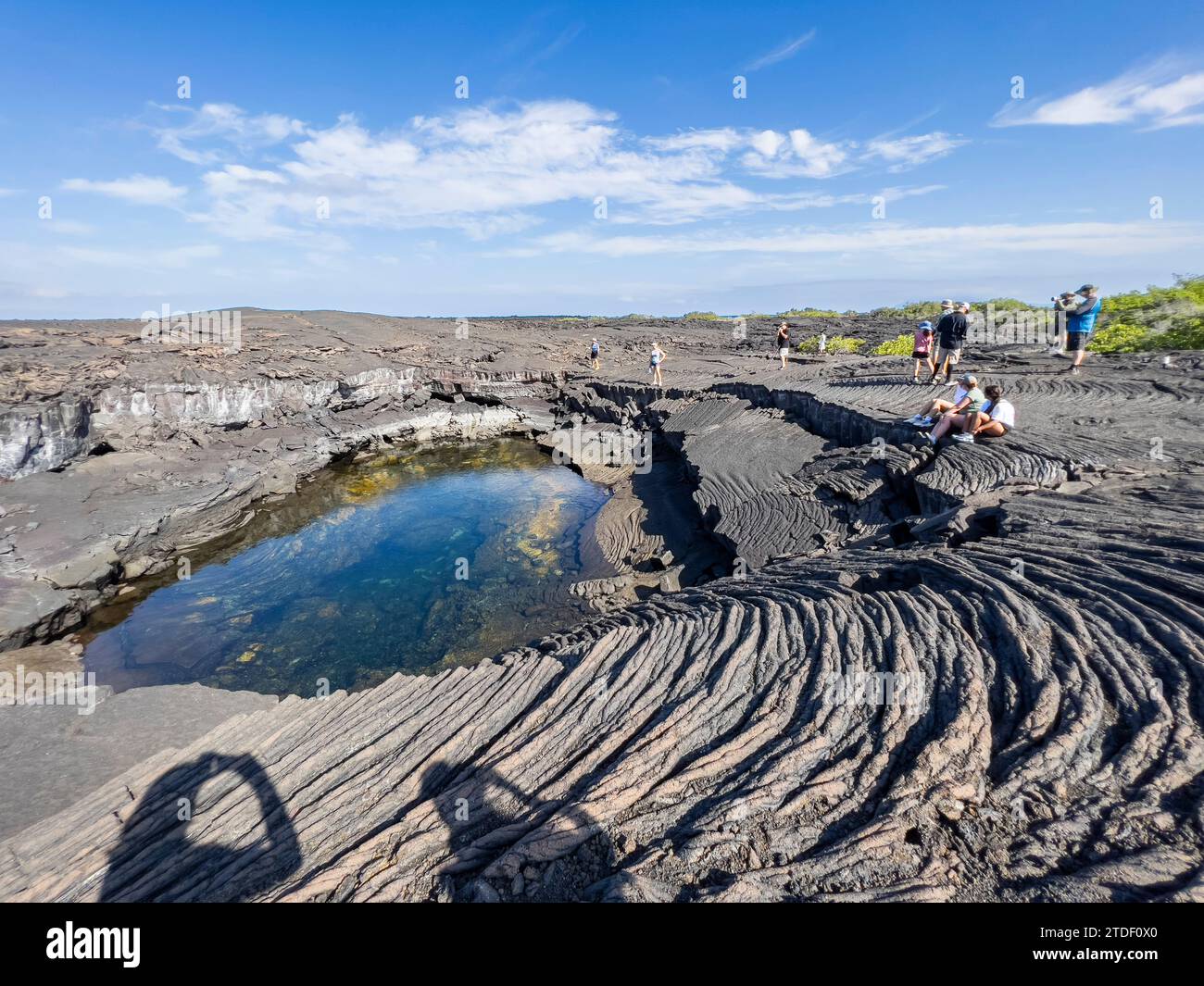 Lave Pahoehoe sur la plus jeune île des Galapagos, île Fernandina, îles Galapagos, site du patrimoine mondial de l'UNESCO, Équateur, Amérique du Sud Banque D'Images