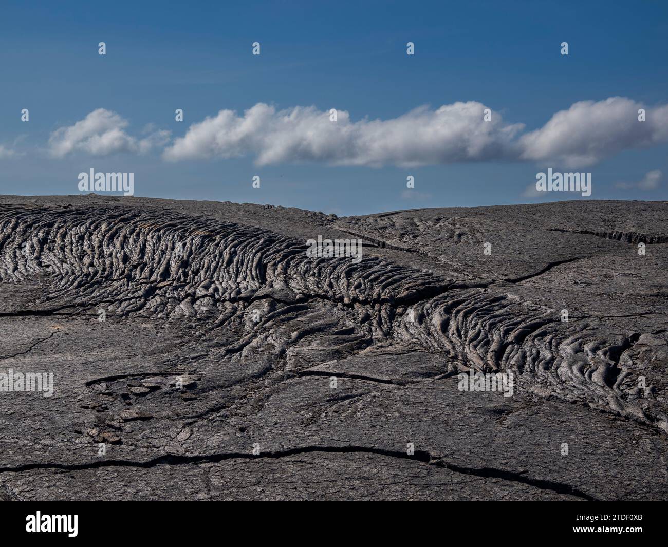 Lave Pahoehoe sur la plus jeune île des Galapagos, île Fernandina, îles Galapagos, site du patrimoine mondial de l'UNESCO, Équateur, Amérique du Sud Banque D'Images