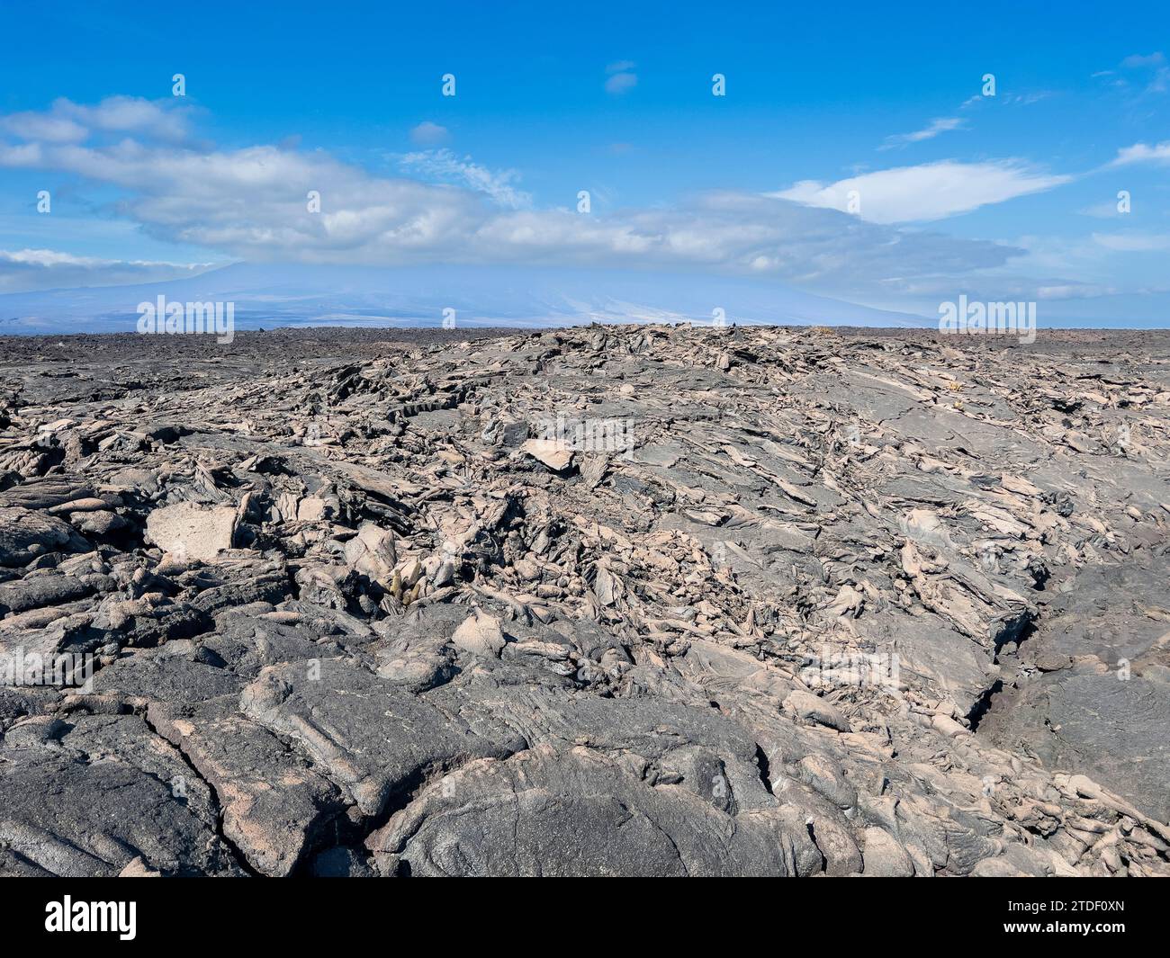 Lave Pahoehoe sur la plus jeune île des Galapagos, île Fernandina, îles Galapagos, site du patrimoine mondial de l'UNESCO, Équateur, Amérique du Sud Banque D'Images