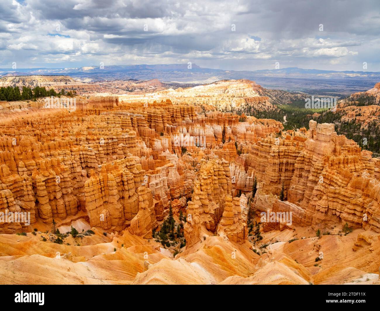 Formations rocheuses rouges connues sous le nom de hoodoos dans le parc national de Bryce Canyon, Utah, États-Unis d'Amérique, Amérique du Nord Banque D'Images