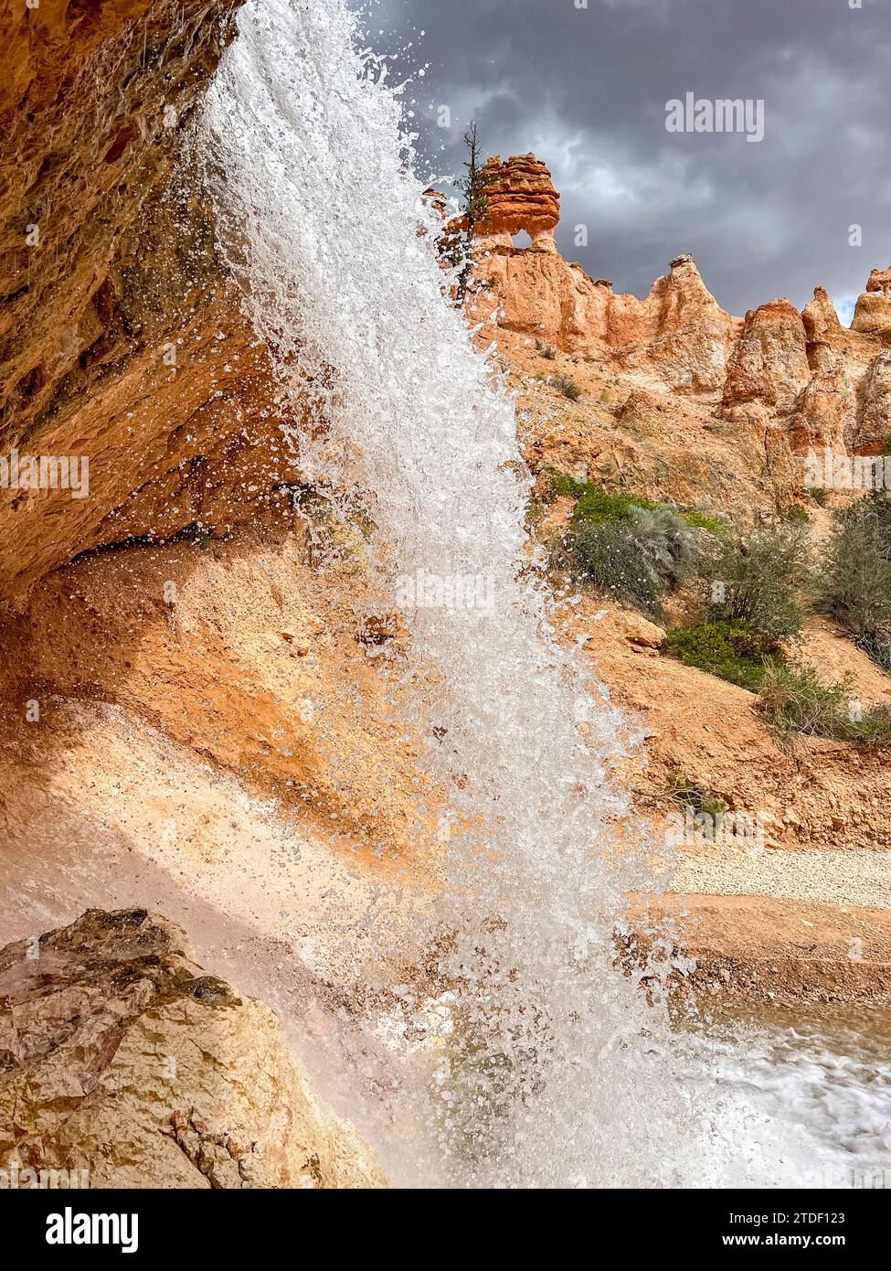 Chute d'eau traversant le Mossy Cave Trail dans le parc national de Bryce Canyon, Utah, États-Unis d'Amérique, Amérique du Nord Banque D'Images