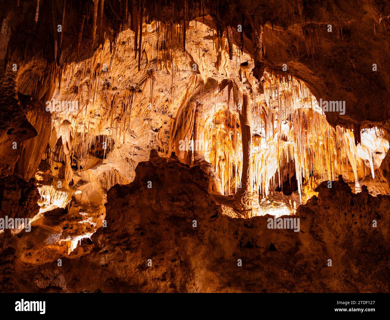 Dans la grande salle du parc national des grottes de Carlsbad, site du patrimoine mondial de l'UNESCO, situé dans les montagnes Guadalupe, Nouveau-Mexique Banque D'Images
