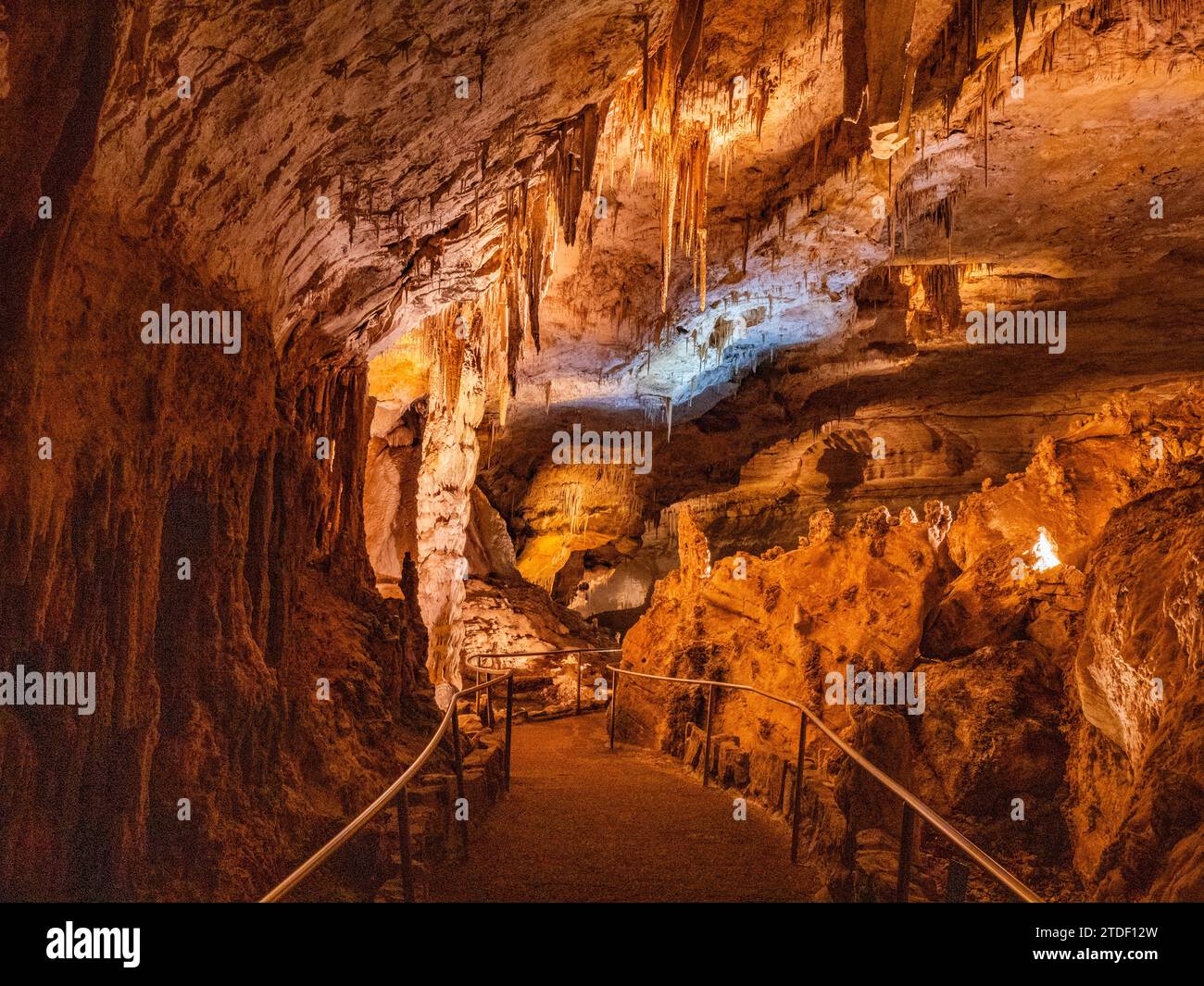 Stalactites dans la grotte principale du parc national des grottes de Carlsbad, site du patrimoine mondial de l'UNESCO, situé dans les montagnes Guadalupe, Nouveau-Mexique Banque D'Images