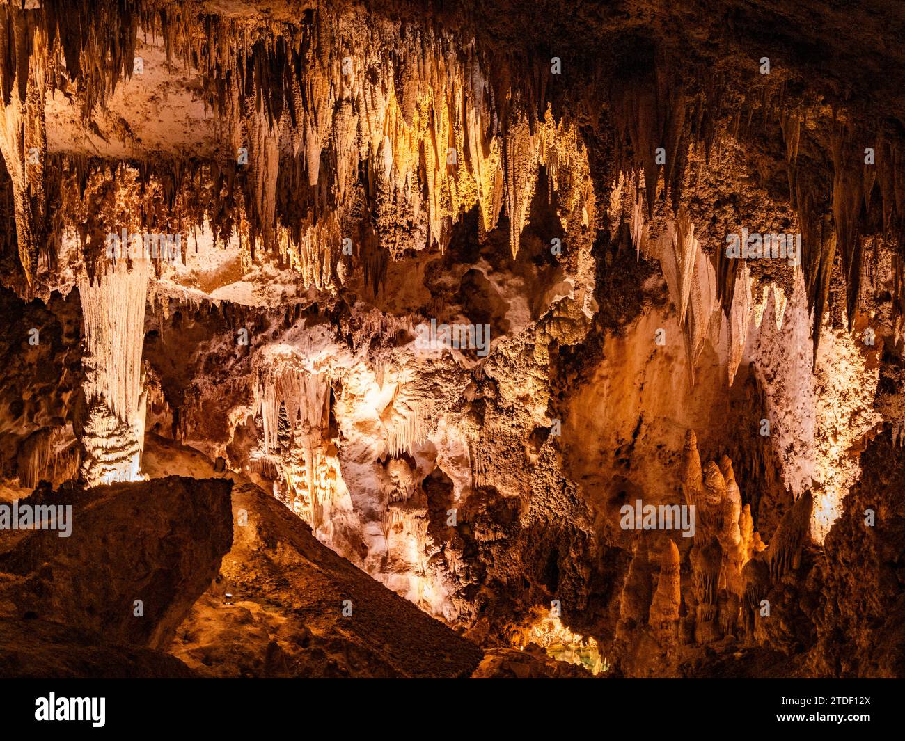 Stalactites dans la grotte principale du parc national des grottes de Carlsbad, site du patrimoine mondial de l'UNESCO, situé dans les montagnes Guadalupe, Nouveau-Mexique Banque D'Images