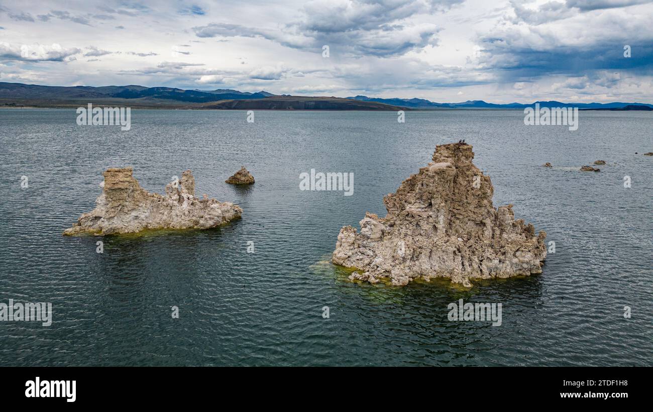 Affleurent dans le lac de soude saline, lac Mono, Californie, États-Unis d'Amérique, Amérique du Nord Banque D'Images