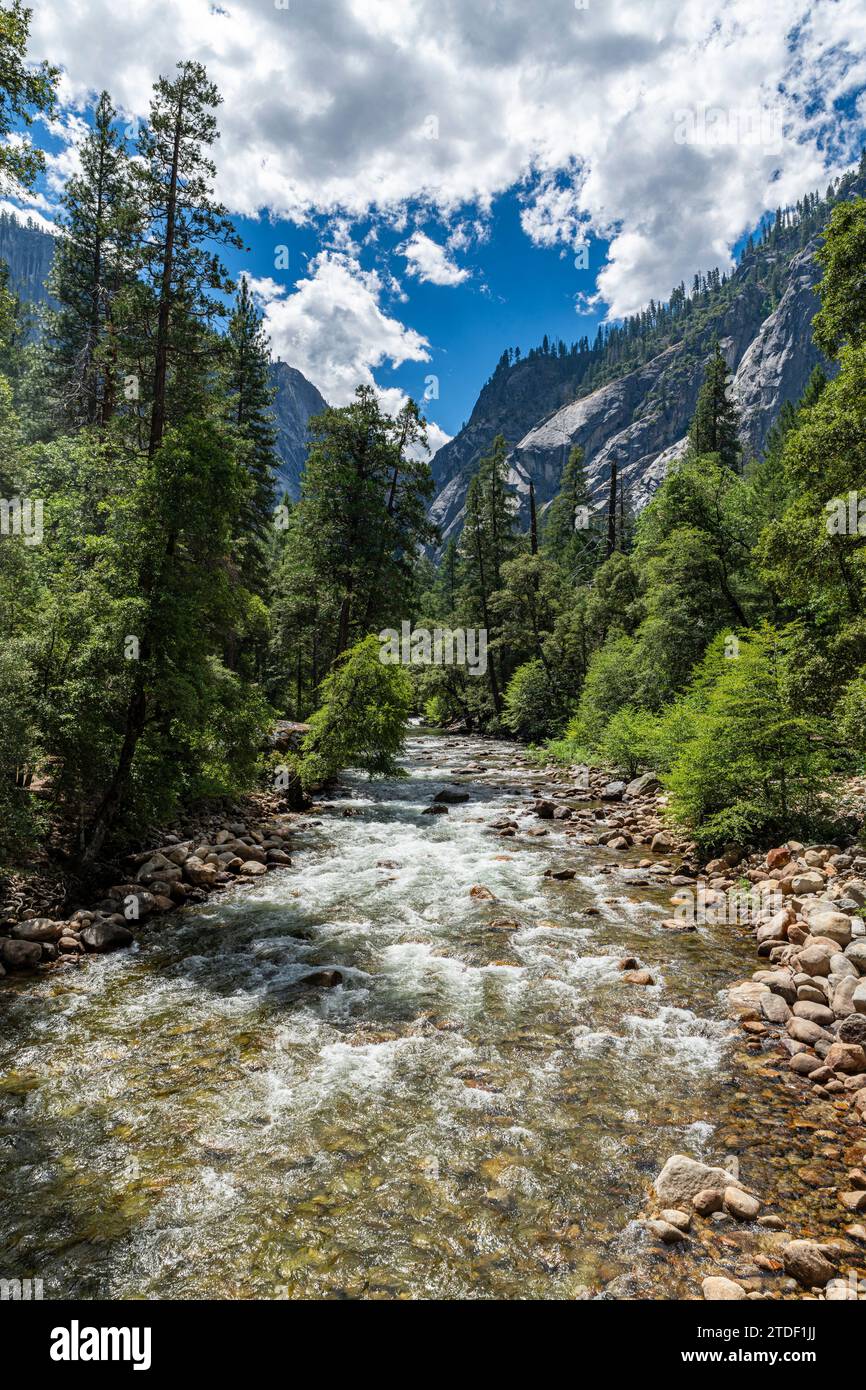 Rivière Merced, parc national de Yosemite, site du patrimoine mondial de l'UNESCO, Californie, États-Unis d'Amérique, Amérique du Nord Banque D'Images