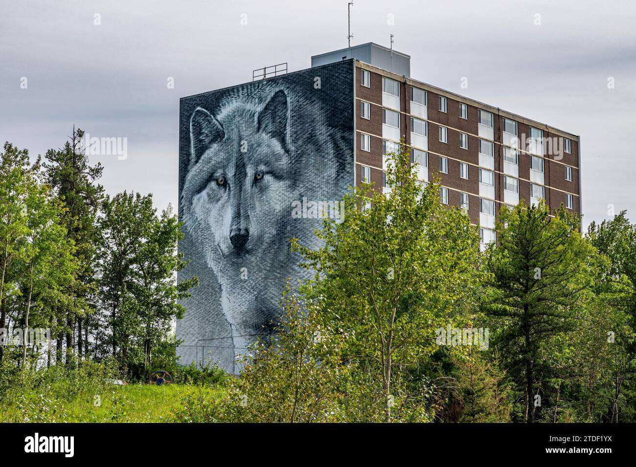 Peinture de maison de loup, Thompson, Manitoba, Canada, Amérique du Nord Banque D'Images
