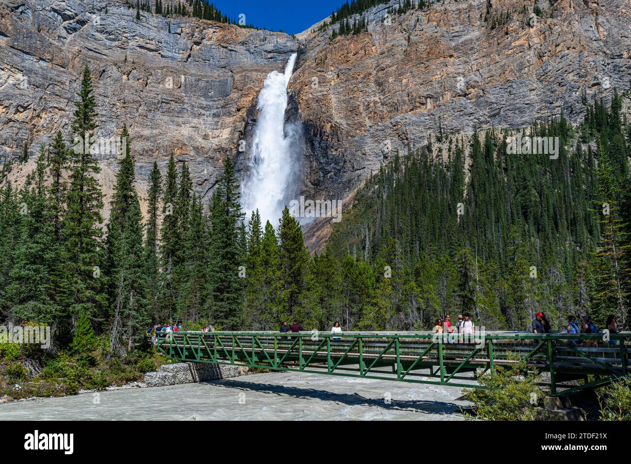 Chutes Takakkaw, la deuxième plus haute chute d'eau au Canada, parc national Yoho, site du patrimoine mondial de l'UNESCO, Colombie-Britannique, Canada, Amérique du Nord Banque D'Images