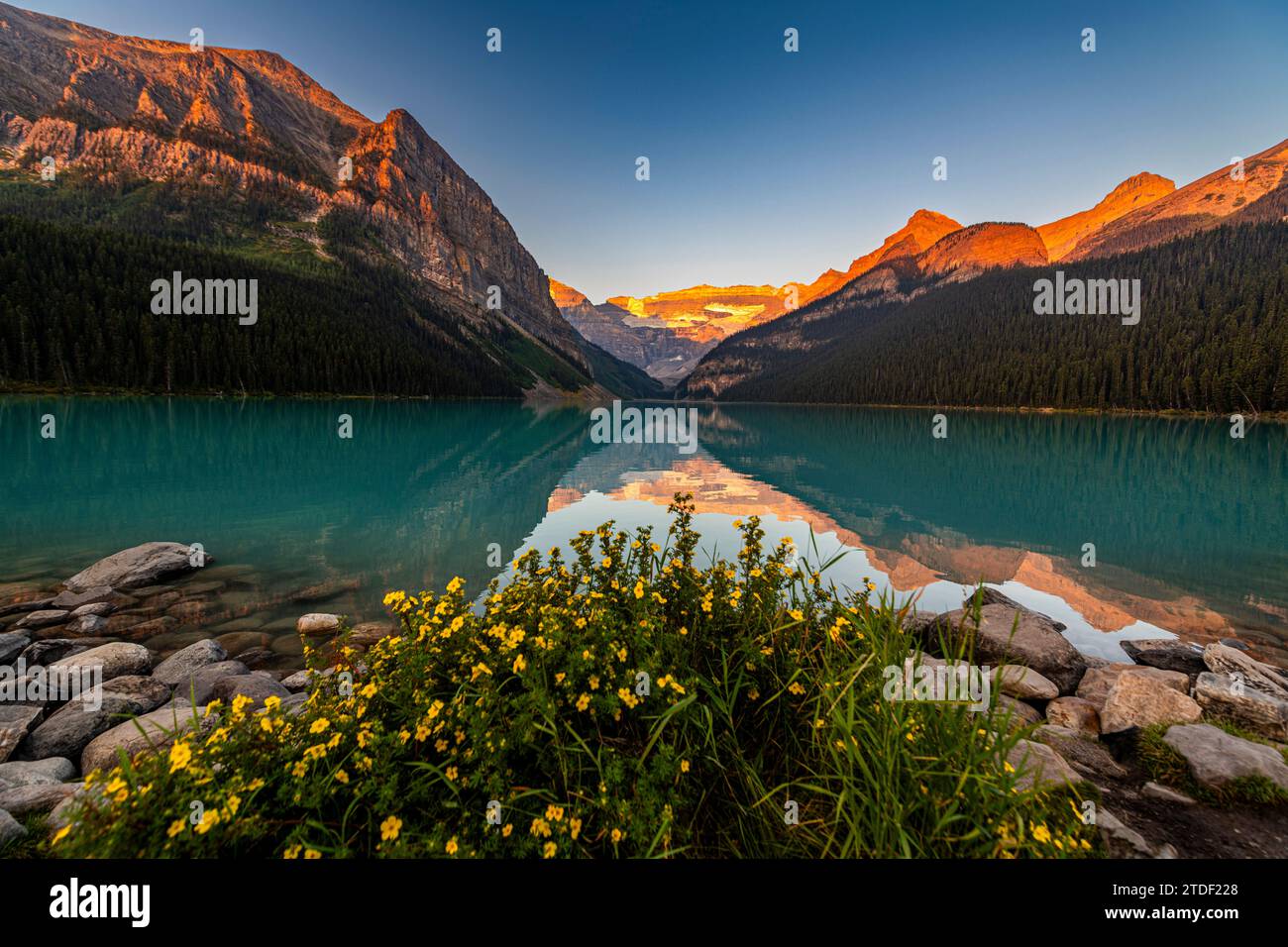 Lever du soleil au lac Louise, parc national Banff, site du patrimoine mondial de l'UNESCO, Alberta, montagnes Rocheuses, Canada, Amérique du Nord Banque D'Images