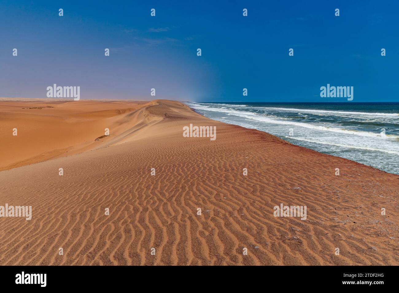 Dunes de sable le long de la côte atlantique, désert de Namibe (Namib), parc national de Iona, Namibe, Angola, Afrique Banque D'Images