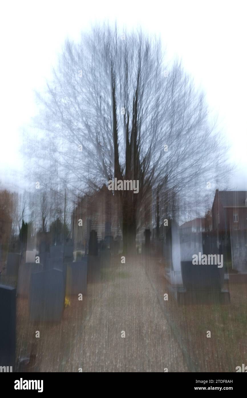 chemin de ciment flou et morose, défocalisé, bordé de pierres tombales avec un arbre le jour pluvieux d'hiver Banque D'Images