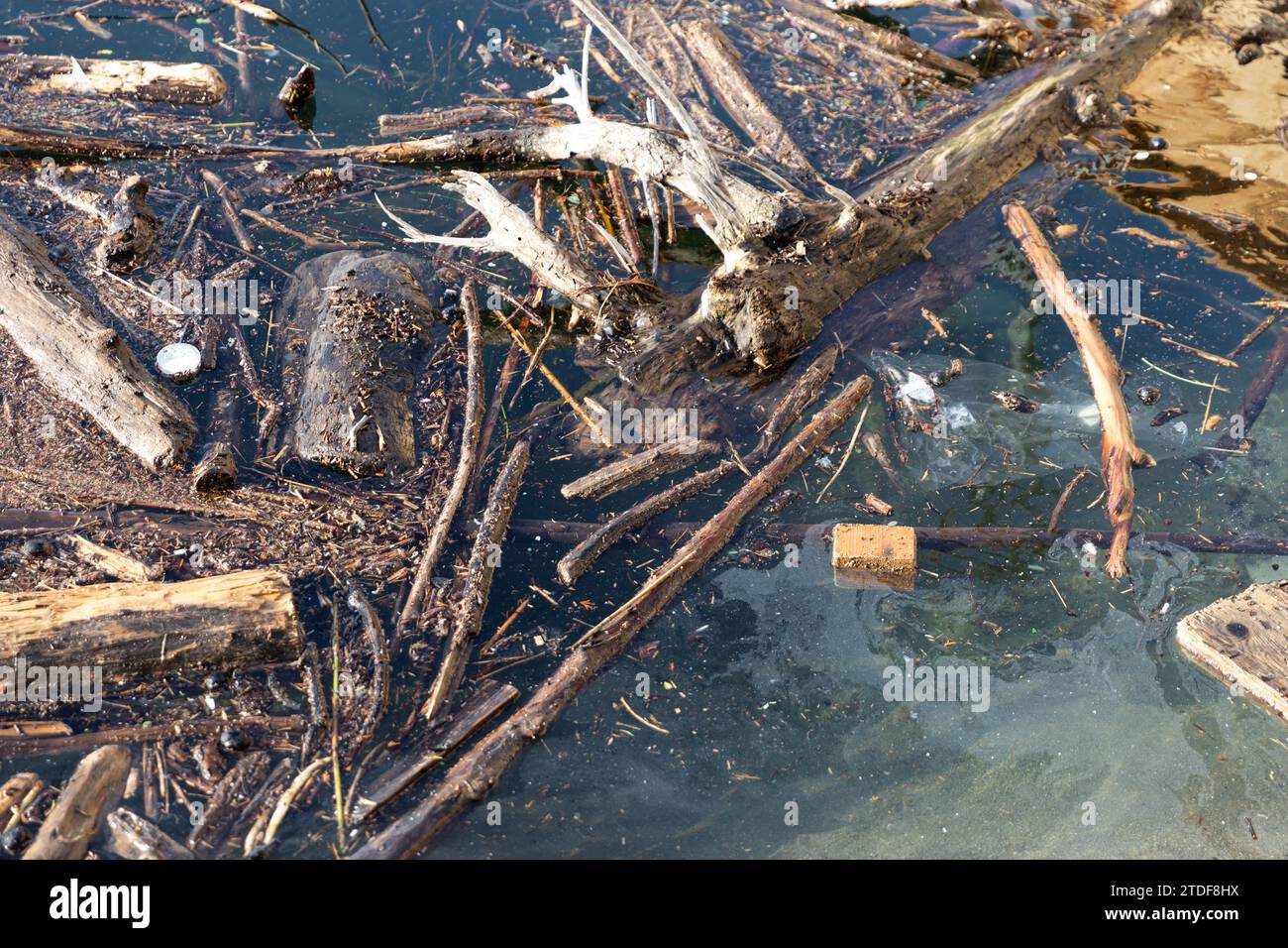 Déchets plastiques dans la rivière. Pollution de l'environnement. Banque D'Images
