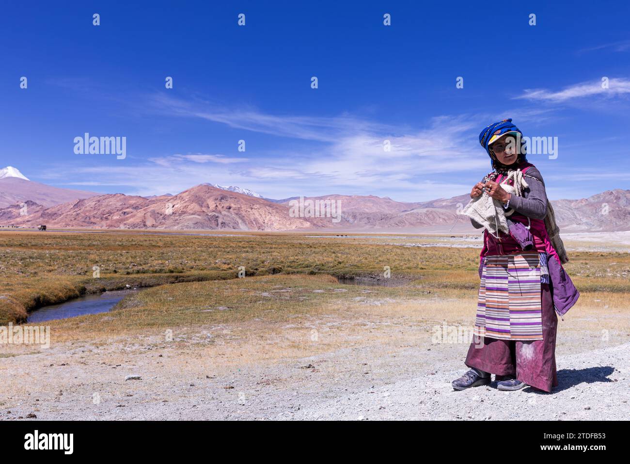 Changpa nomad Changpa nomad tricotant en regardant ses chèvres, région de Hanle, Ladakh, Inde Banque D'Images