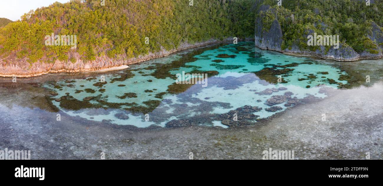 Une île calcaire boisée est bordée par un magnifique récif corallien à Raja Ampat, en Indonésie. Cette région est connue pour sa grande biodiversité marine. Banque D'Images