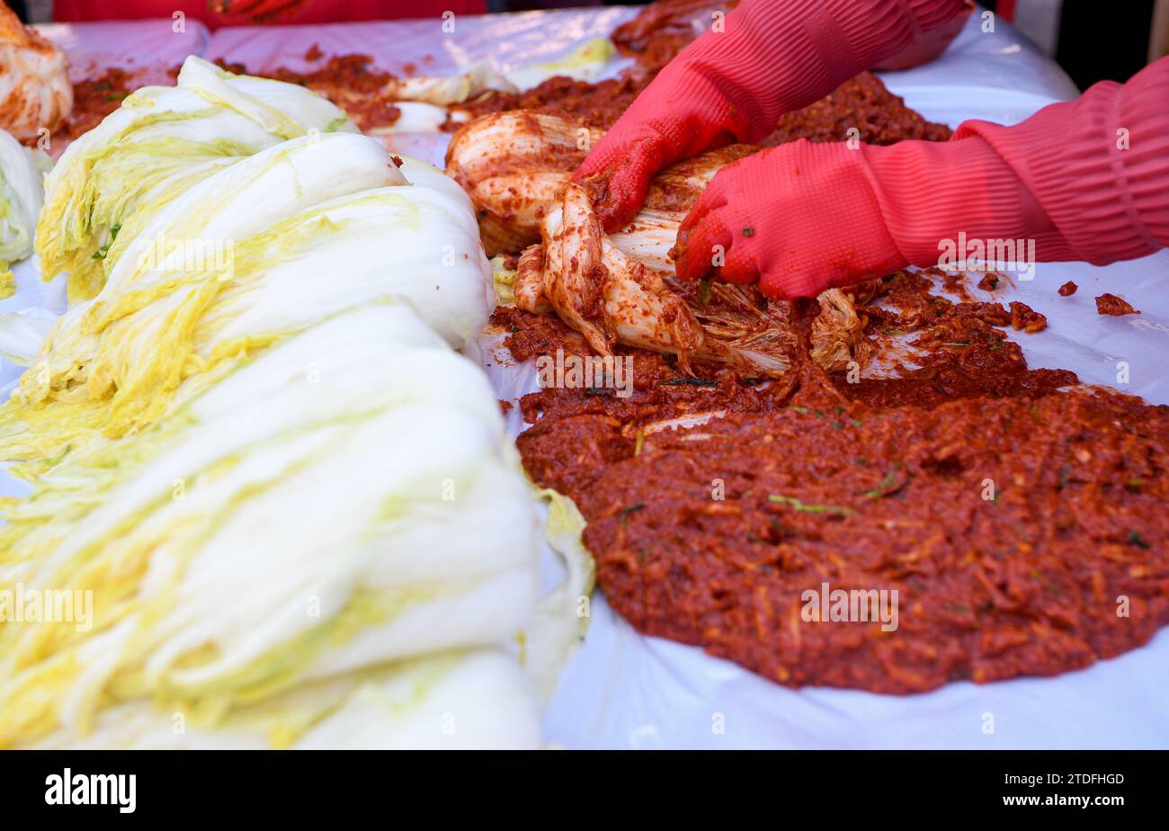 Fin novembre 2021, ils fabriquent du kimchi à Gyeongbuk, en Corée du Sud. (Le kimchi est un vieil aliment traditionnel en Corée.) Banque D'Images