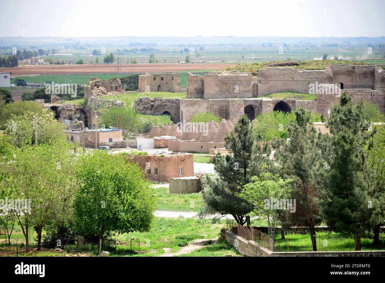 La fondation de la ville de Harran remonte probablement au 18e siècle av. J.-C. maisons coniques typiques de cette région Banque D'Images