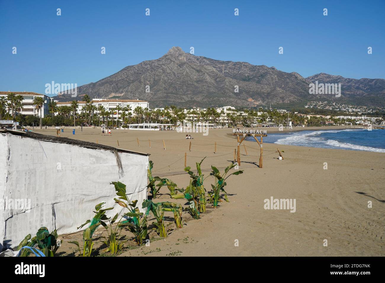 Plage de Puerto Banús, Marbella, avec la montagne de la Concha derrière, Costa del sol, saison d'hiver, Andalousie, Espagne. Banque D'Images