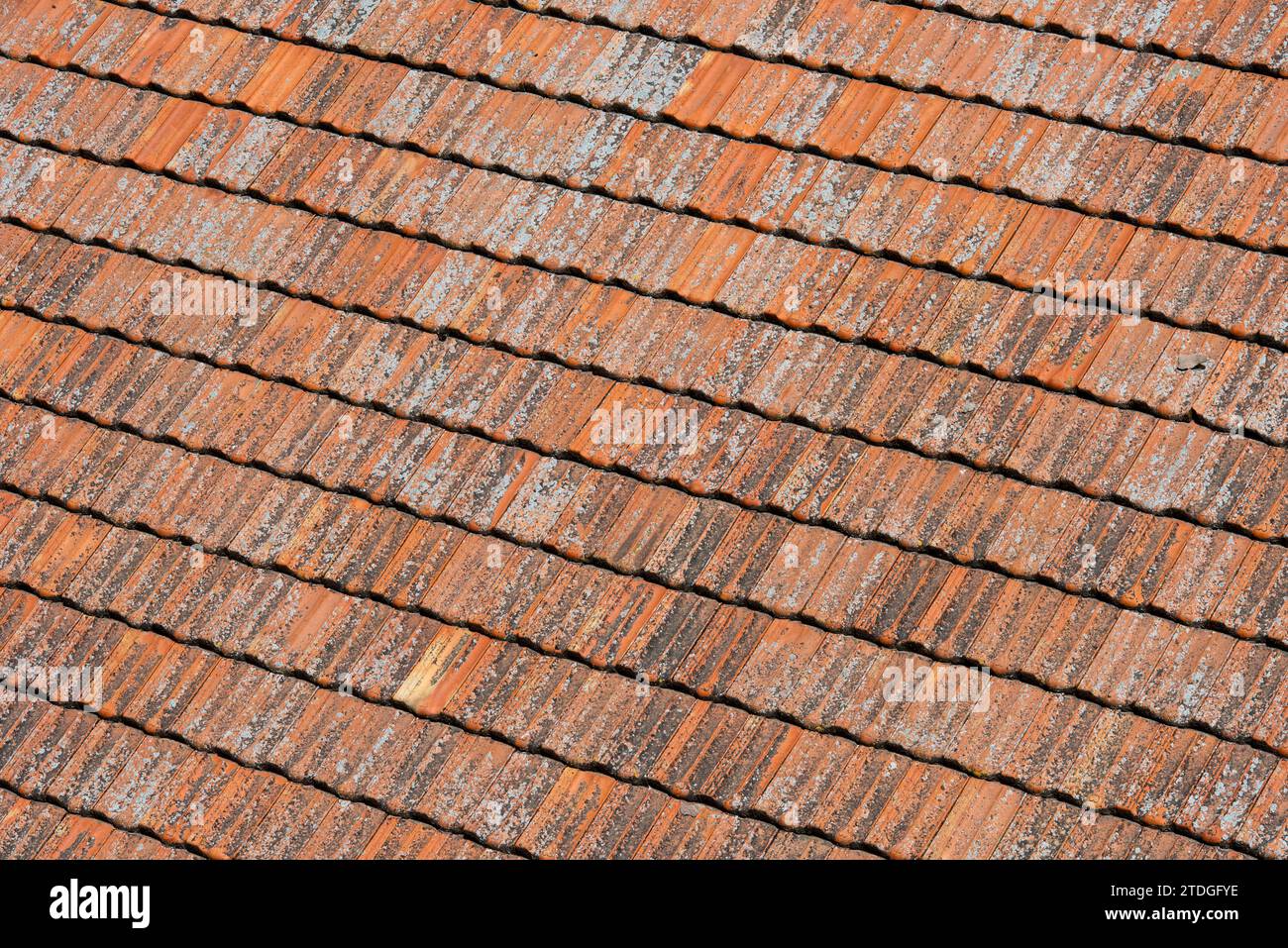 Détail des tuiles incurvées et texturées en terre cuite utilisées dans la construction de maisons dans toute l'Espagne, l'Italie et le Portugal et d'autres régions du sud de l'Europe Banque D'Images
