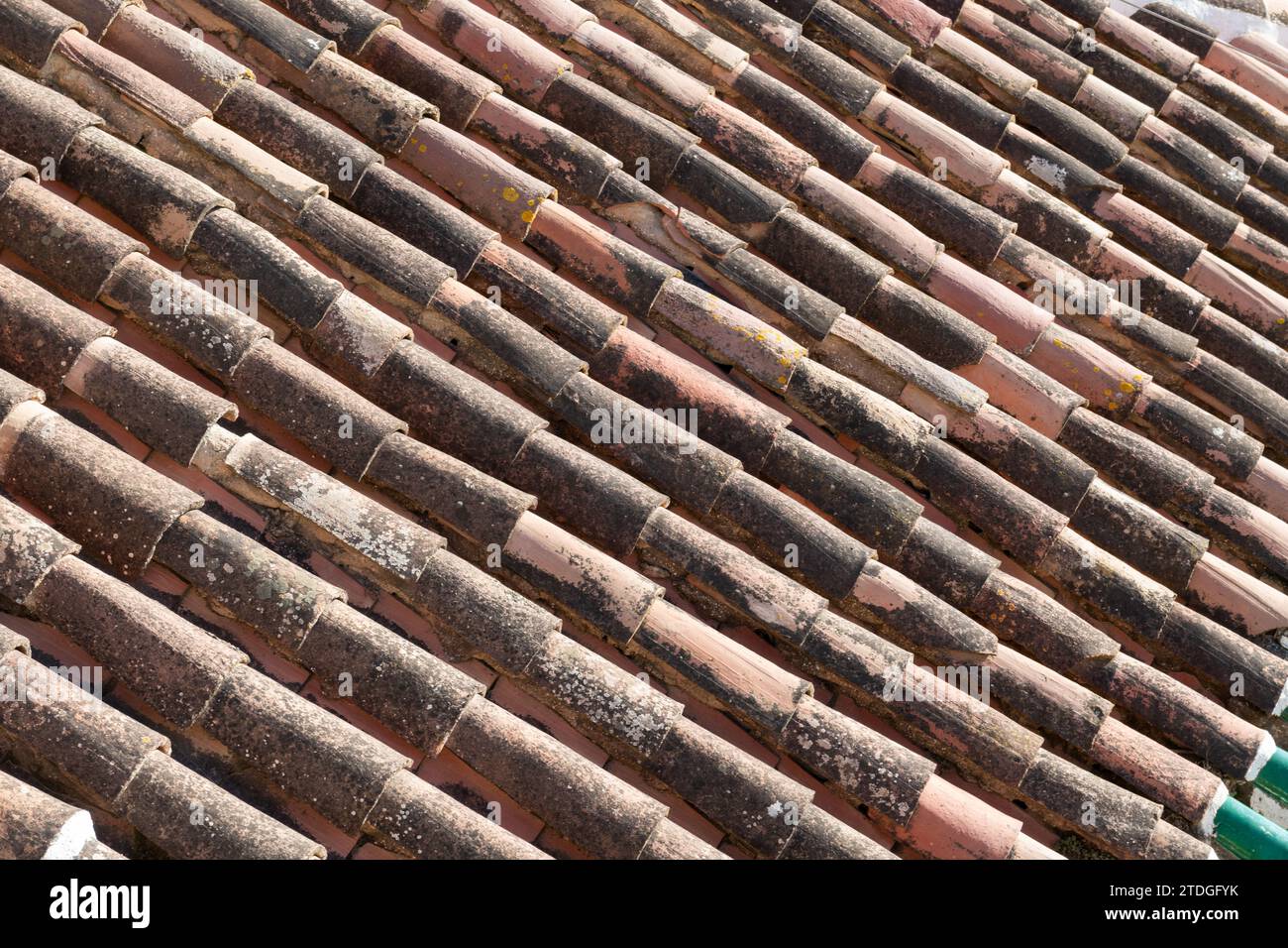 Détail des tuiles incurvées et texturées en terre cuite utilisées dans la construction de maisons dans toute l'Espagne, l'Italie et le Portugal et d'autres régions du sud de l'Europe Banque D'Images